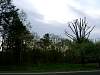 08springthaw62.jpg